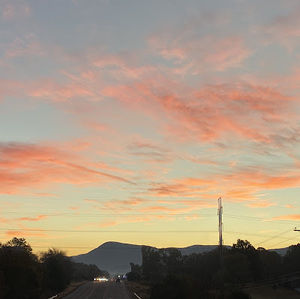 Meet your Posher, Cecilia